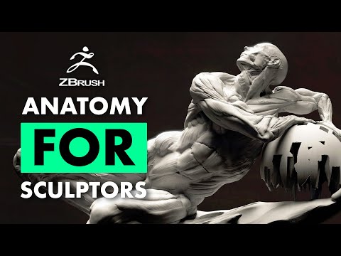 Fundamental Anatomy for Sculptors